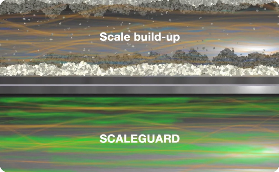 Overview of SCALEGUARD